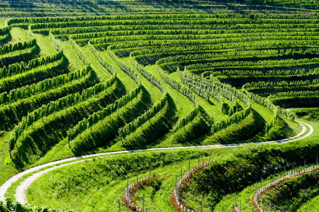 META Destinacija Jeruzalem Slovenija