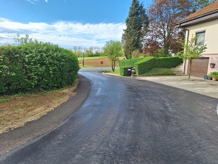 20250418_083521_resized