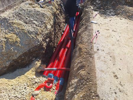 20250220_111330_resized